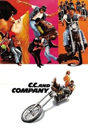 A motorcycle rebel rescues a woman from his gang and fights an outlaw guru for supremacy.