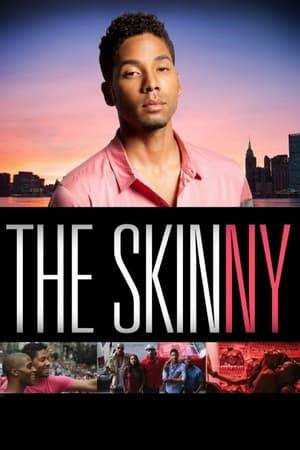 Five black Brown University classmates, four gay men and a lesbian, reunite in New York City for a weekend of fun, sins, secrets, lies and drama.