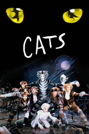 "Jellicle" cats join for a Jellicle ball where they rejoice with their leader, Old Deuteronomy. One cat will be chosen to go to the "Heavyside Layer" and be reborn.