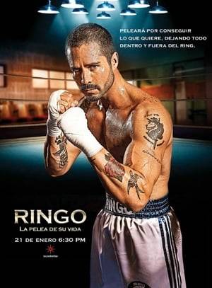Ringo is a young man, who has dedicated his life to boxing, and at the peak of his career he loses the national title upon receiving the news of the death of his brother. From that moment, Ringo decides to retire from boxing. Gloria, his wife, leaves him to go live with El Turco, Ringo's main rival in the ring. Gloria's decision leaves Ringo alone in charge of the care of his son Santi. Then, Gloria will return to claim custody of her son, and in that situation, Ringo will have to obtain a job that provides fixed income, to keep custody of his son. He decides to return to boxing with the clear goal to be crowned champion.