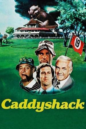 At an exclusive country club, an ambitious young caddy, Danny Noonan, eagerly pursues a caddy scholarship in hopes of attending college and, in turn, avoiding a job at the lumber yard. In order to succeed, he must first win the favour of the elitist Judge Smails, and then the caddy golf tournament which Smails sponsors.