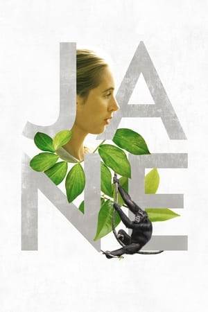 Drawing from never-before-seen footage that has been tucked away in the National Geographic archives, director Brett Morgen tells the story of Jane Goodall, a woman whose chimpanzee research revolutionized our understanding of the natural world.