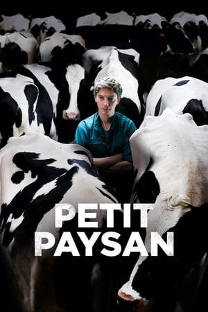Pierre, in his thirties, is a breeder of dairy cattle. His life revolves around his farm, his veterinarian sister and his parents whose livestock he took over. As the first cases of a zoonotic outbreak are reported in France, Pierre discovers that one of his animals is infected. He cannot cope with the perspective of losing the whole herd. They are everything he has and he will do whatever it takes to save them.