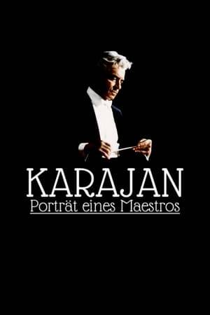 An account of the life and work of controversial German orchestra conductor Herbert von Karajan (1908-89), celebrated as one of the greatest musicians of the twentieth century.