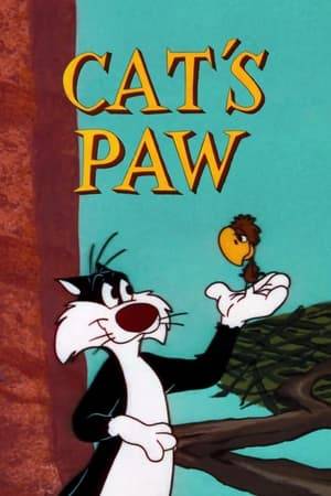 Sylvester Cat goes bird-stalking in the mountains with his son, Junior. A dwarf eagle proves too much for Sylvester, beating him to a pulp. Ashamed for his father, Junior puts a paper bag over his head and walks away.