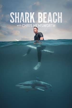 Chris Hemsworth has a real passion for sharks. The Hollywood star talks to experts to find out more about the apex predators of the oceans.