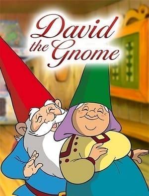 A Spanish animated television series based on the children's book The Secret Book of Gnomes, by the Dutch author Wil Huygen and illustrator Rien Poortvliet.