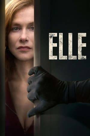 When Michèle, the CEO of a gaming software company, is attacked in her home by an unknown assailant, she refuses to let it alter her precisely ordered life. She manages crises involving family, all the while becoming engaged in a game of cat and mouse with her stalker.