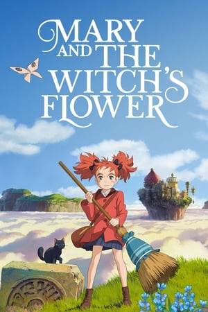 Mary Smith, a young girl who lives with her great-aunt in the countryside, follows a mysterious cat into the nearby forest where she finds a strange flower and an old broom, none of which is as ordinary as it seems.
