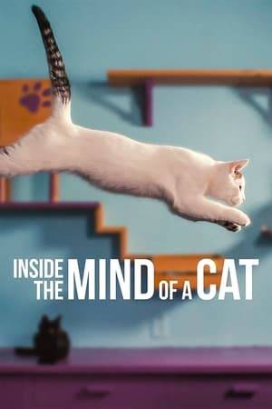 Cat experts dive into the mind of the feline to reveal the true capabilities of the pouncing pet in this captivating and cuddly documentary.