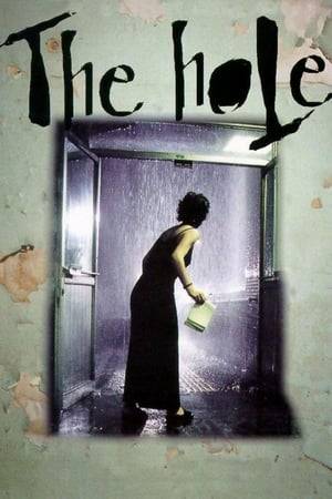 In the final days of the year 1999, almost everyone in Taiwan has died from a strange plague that ravished the island. As rain pours down relentlessly, a single man is stuck with an unfinished plumbing job and a hole in his floor. This results in a very odd relationship with the woman who lives below him.