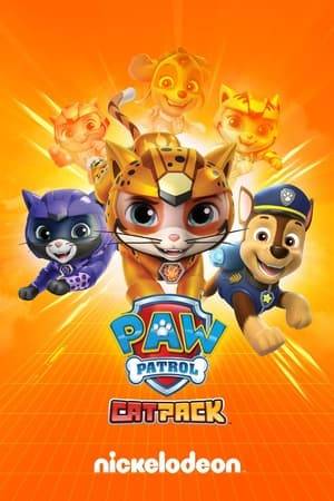 When Mayor Humdinger transforms his robot cat Meow-Meow into a tiger-sized metal-eating menace, the PAW Patrol calls in the Cat Pack for help in the stopping the creature.