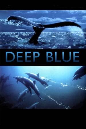 Deep Blue is a major documentary feature film shot by the BBC Natural History Unit. An epic cinematic rollercoaster ride for all ages, Deep Blue uses amazing footage to tell us the story of our oceans and the life they support.