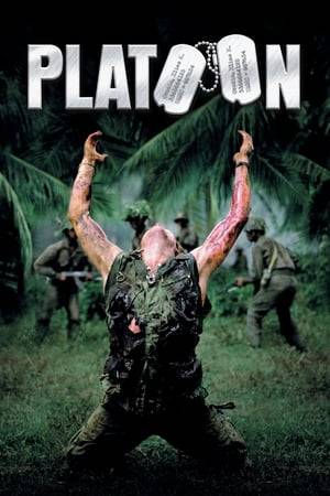 As a young and naive recruit in Vietnam, Chris Taylor faces a moral crisis when confronted with the horrors of war and the duality of man.