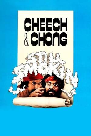 Cheech & Chong are invited to a celebrity party in Amsterdam. When they get there, however, it turns out that the guy who invited them has taken off with all the money. They are actually expecting Burt Reynolds and Dolly Parton, so our heroes get to be Mr. Burt and Mr. Dolly.