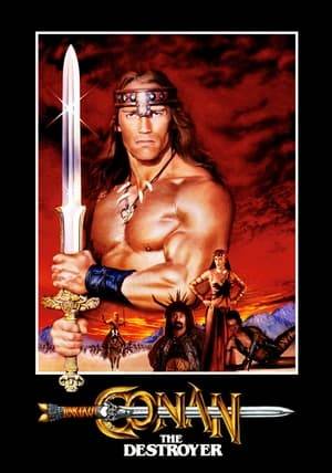 Conan is commissioned by the evil queen Taramis to safely escort a teen princess and her powerful bodyguard to a far away castle to retrieve the magic Horn of Dagoth. Unknown to Conan, the queen plans to sacrifice the princess when she returns and inherit her kingdom after the bodyguard kills Conan. The queen's plans fail to take into consideration Conan's strength and cunning and the abilities of his sidekicks: the eccentric wizard Akiro, the warrior woman Zula, and the inept Malak. Together the hero and his allies must defeat both mortal and supernatural foes in this voyage to sword-and-sorcery land.