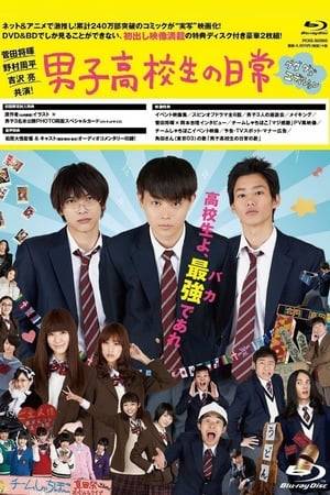 The story of a school festival that is being jointly organized by Tadakuni, Yoshitake, and Hidenori's all-boys school and an adjacent all-girls school. At an all boys high school, Tadakuni (Masaki Suda), Yoshitake (Shuhei Nomura) and Hidenori (Ryo Yoshizawa) are close friends and think usually all day about girls. Their high school then co-hosts a school festival with an all girls high school.