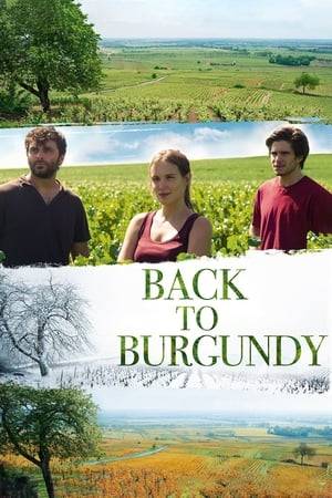 Jean left his hometown ten years ago. When his father falls ill, he comes back and reunites with his sister Juliette and his brother Jérémie. As seasons go by around their vineyard, they'll have to trust each other again.