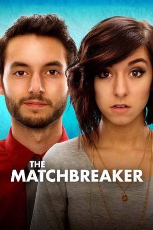When an idealistic romantic gets fired from his day job, he is offered a "one-time gig" to break up a girl's relationship for her disapproving parents. This "one-time" gig spreads through word-of-mouth and he ends up becoming a professional match-breaker. However, he ends up falling for one of his clients and must figure out how to balance his secret job with his love-life.