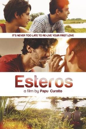 Childhood friends Matías and Jerónimo reach adolescence and experience sexual attraction to each other, before being separated by circumstances. Later, as young adults, they meet again, and the film follows themes of complicated relationships and sexual tensions, as well as issues of homophobia