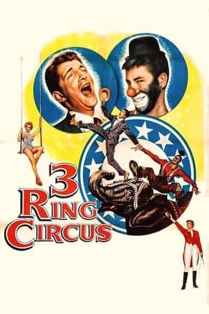 Jerry and Pete are two friends with no money and are looking for a job. They finally find employment working in a circus, but Jerry has different dreams. He wants to become a clown.