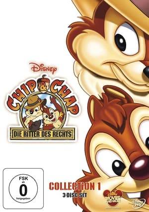 Chip and Dale, Disney's favorite chipmunk team, form their own protection agency for their fellow animals, where they seek to help the helpless and protect those in peril from those who would exploit them.
