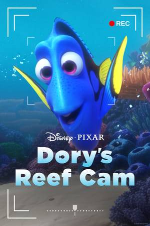 Dive into the waters below and watch the aquatic wildlife from the world of Nemo and Dory.