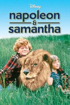 Two young children, who, rather than part with an old pet lion who was once a circus performer, go on a perilous mountain trek to stay with a recluse friend.