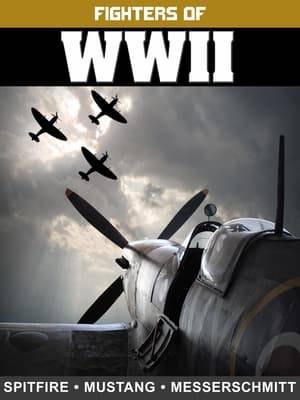 The Spitfire, P-51 Mustang, and Messerschmitt Bf 109 were exceptionally great fighters of WWII, and, with the use of authentic & rare color and B&W footage, this program details what made them so special. Also featured are the P-40 Warhawk, P-38 Lightning, P-47 Thunderbolt, P-36, Focke-Wulf 190, ME 262 Jet Fighter, Mosquito, Corsair, Hawker Hurricane, Poli Karpon 116, Fiat G.50, MC.200 & MC.202.