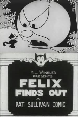 Willie, Felix's owner, gets an assignment to find out why the moon shines. Felix decides to help him get the answer, but winds up getting involved with bootleggers who are making "moonshine".