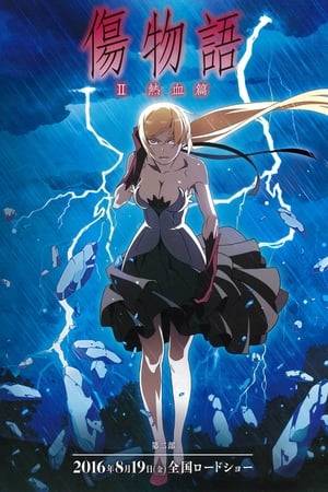 Koyomi Araragi was turned into a vampire by the legendary vampire, Kiss-shot Acerola-orion Heart-under-blade, and he needs to revive the weakened vampire back to her complete form to return to being human again. The only way for Koyomi to achieve his goal is to fight the three vampire hunters – Dramaturgy, Episode and Guillotinecutter.