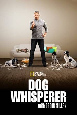Cesar Millan has been called the Dr. Phil for Dogs. With an uncanny ability to rehabilitate problem dogs of all shapes and sizes. Each episode of the Dog Whisperer documents the remarkable transformations that take place under Cesar's guidance and teaching, helping dogs and their owners live happier lives together.