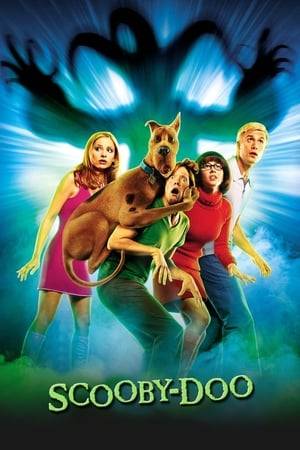 When the Mystery Inc. gang is invited to Spooky Island, a popular amusement park, they soon discover that the attractions aren't the only things that are spooky. Strange things are happening, and it's up to Scooby, Shaggy, Fred, Daphne, and Velma to uncover the truth behind the mysterious happenings.