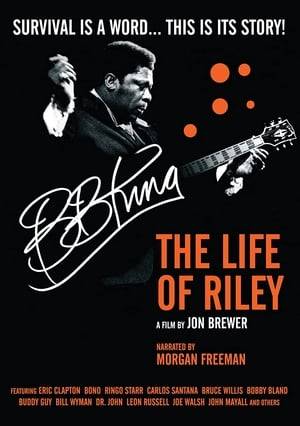 Documentary charting the life of blues guitarist B.B. King, with contributions from fellow musicians.