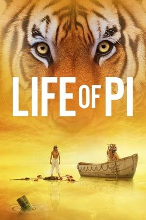 The story of an Indian boy named Pi, a zookeeper's son who finds himself in the company of a hyena, zebra, orangutan, and a Bengal tiger after a shipwreck sets them adrift in the Pacific Ocean.