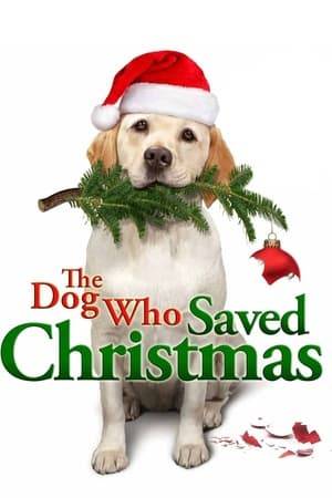 Zeus, a Labrador Retriever and a former police dog, has lost his bark after his barking ended up blowing off a five-year investigation and his partner can't shoot straight again and ends up at the pound. He is adopted by a father as both an early Christmas present and as a guard dog for the house, but the mom remains hesitant.