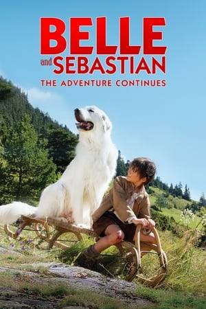 September, 1945. Sebastian impatiently waits for the return of his friend Angelina, whom he has not seen for two years. When the plane carrying the young woman to her small village in the Alps is reported to have crashed in the mountains, Sebastian is convinced that Angelina is still alive. Along with his faithful dog Belle, Sebastian embarks on the most dangerous adventure of his life.