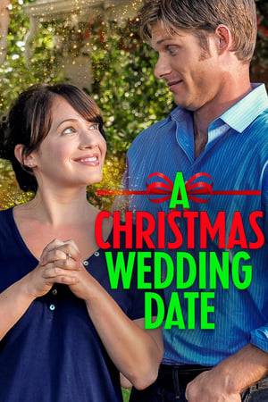After being fired, Rebecca hours back to her old home town to attend her friends wedding on Christmas Eve and visit her mother. But when she tries to return home she finds she must relive Christmas Eve over and over until she gets it right.