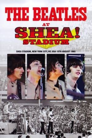The Beatles at Shea Stadium is a fifty-minute-long documentary of the Beatles' 1965 concert at Shea Stadium in New York, the highlight of the group's 1965 tour.