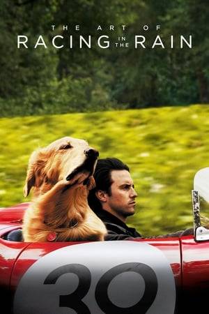A family dog – with a near-human soul and a philosopher's mind – evaluates his life through the lessons learned by his human owner, a race-car driver.