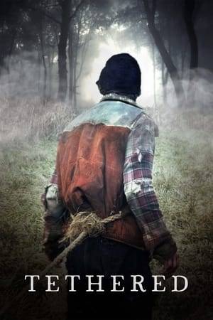 Miles from civilization, a blind teenager and the hunter he befriends are tormented by a mysterious creature lurking in the woods.