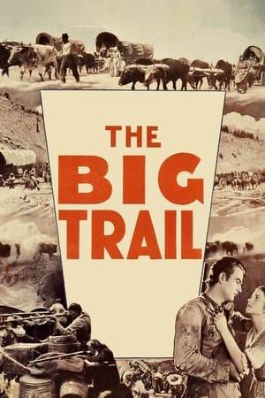 Young scout Breck Coleman leads a wagon train along the dangerous trail to Oregon as he tries to get the affection of the beautiful pioneer Ruth Cameron and plans his revenge on the harsh scoundrels who murdered a friend of his in the past.