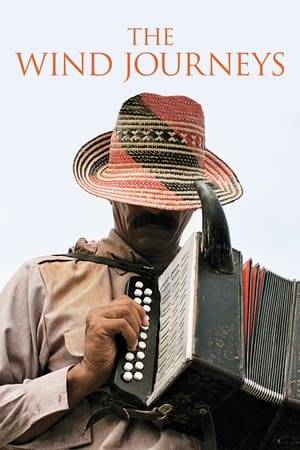 After his wife's death, a vallenato singer from Majagual, Sucre, decides to quit music and return his allegedly cursed accordion to his master. He is joined by Fermín Morales, a teenage boy who admires him and wishes to follow his footsteps. Together, they start a journey throughout several towns in Northern Colombia to Taroa, in La Guajira desert, where the singer's master supposedly lives.