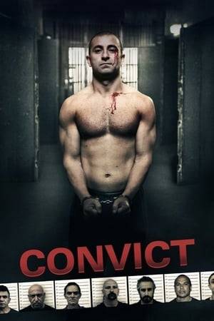 Set in the dark and old Parramatta prison built by the original convicts our lead character Ray a war veteran finds himself serving 18 months for manslaughter after defending his fiance. He soon realizes that the prison boss has it in for him and does everything possible to break Ray even going after his fiance.