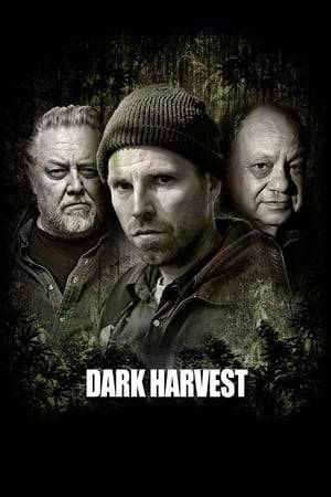 On the eve of legalization a marijuana grower is brutally murdered. His best friend, against the advice of his mentor, teams up with a suspended narcotics investigator to find the killer.