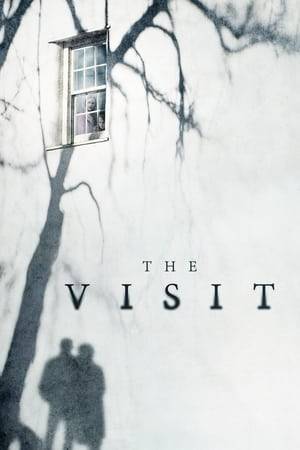 A brother and sister are sent to their grandparents' remote Pennsylvania farm for a week, where they discover that the elderly couple is involved in something deeply disturbing.