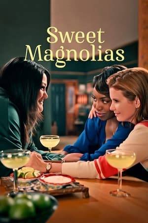 Lifelong friends Maddie, Helen and Dana Sue lift each other as they juggle relationships, family and careers in the small, Southern town of Serenity.