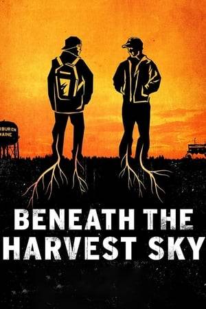 A teen drama set during the fall potato harvest in a small northern Maine town.
