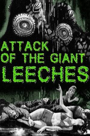 A backwoods game warden and a local doctor discover that giant leeches are responsible for disappearances and deaths in a local swamp, but the local police don't believe them.