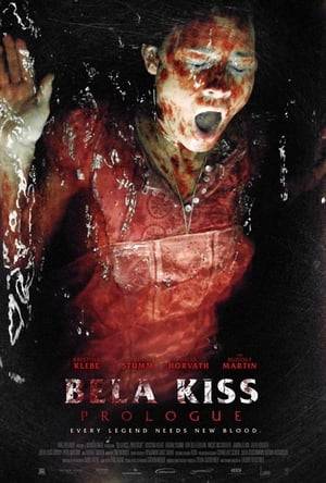 A true story, Bela Kiss was one of the the most brutal serial killers, who killed 23 young women during the beginning of the first World War. The blood-drained bodies were found in metal barrels, conserved in alcohol. According to rumors, he was still seen decades later, in different parts of the world. He never was found and so the whereabouts of this man are unknown, even today. Almost a century later, five bank robbers search for a hideaway in a remote hotel, as they flee from the police. Brutal and unforeseen events take overhand and build a bridge to the past. The assumed safe house turns into a nightmare... is Bela Kiss still alive?
